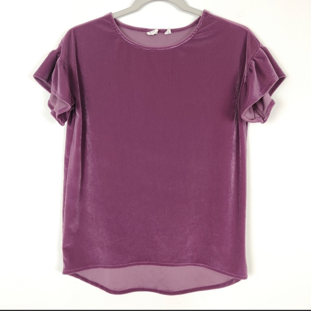 GAP Kids Lavender Velour Flutter Sleeve Top XXL